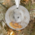 Personalized White Dwarf Hamster Pet