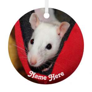 Personalized White Fancy Pet Rat Metal Ornament
