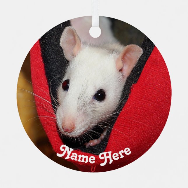 Personalized White Fancy Pet Rat Metal Ornament (Front)