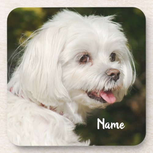Personalized White Maltese Puppy Dog Beverage Coaster