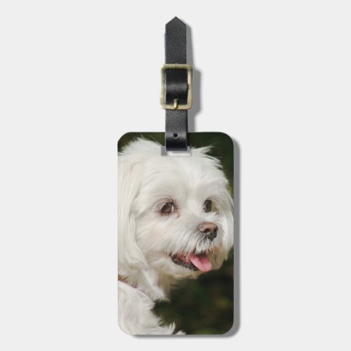 Personalized White Maltese Puppy Dog Luggage Tag