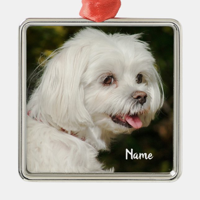 Personalized White Maltese Puppy Dog Metal Ornament (Front)