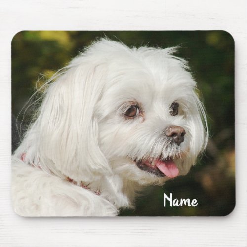 Personalized White Maltese Puppy Dog Mouse Pad