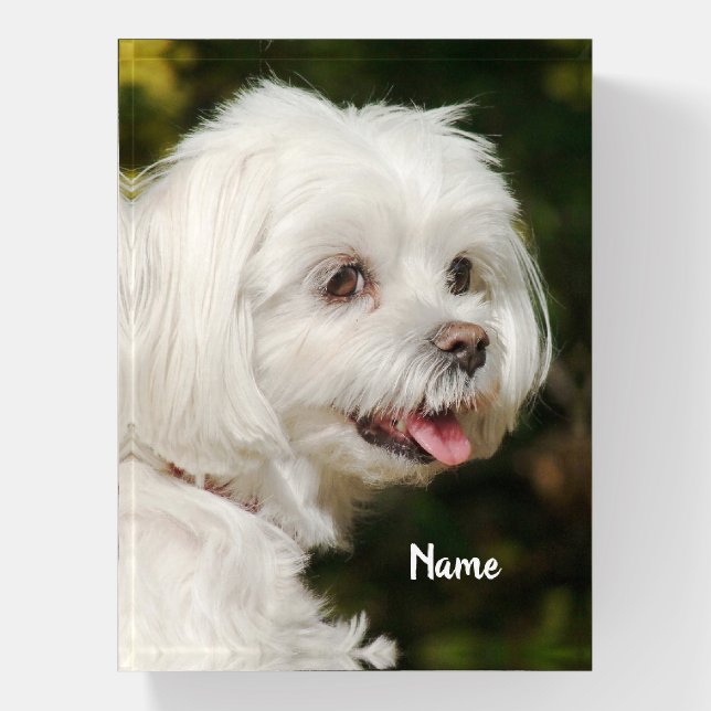 Personalized White Maltese Puppy Dog Paperweight (Vertical)