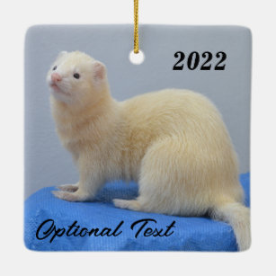 Personalized White Pet Ferret Ceramic Ornament
