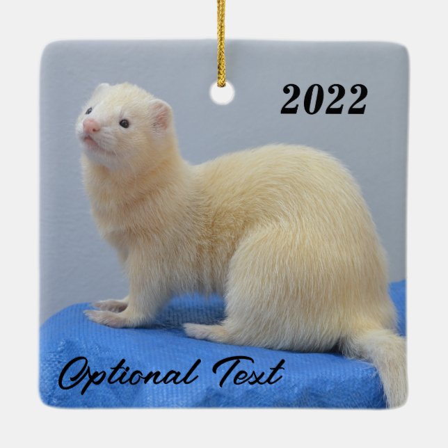 Personalized White Pet Ferret Ceramic Ornament (Back)