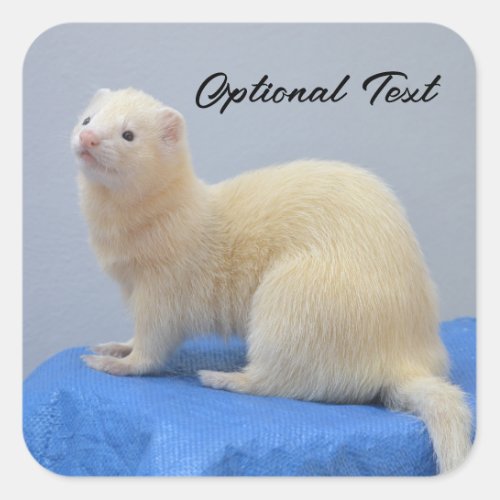 Personalized White Pet Ferret Square Sticker