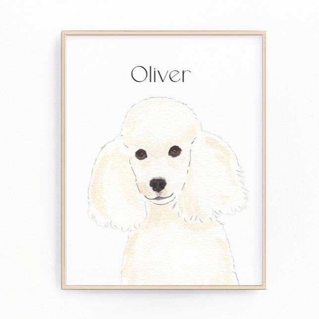 Personalized White Poodle Art Photo Print (Creator Uploaded)