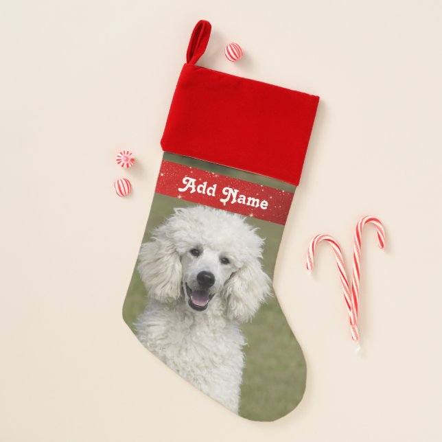 Personalized White Poodle Dog Christmas Stocking (Front)