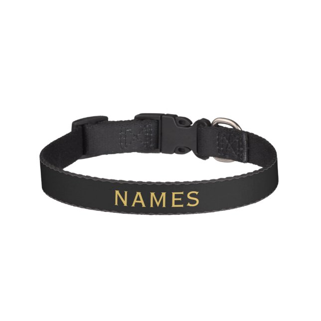 Personalized With Last Name or Nickname on Them Pet Collar (Front)