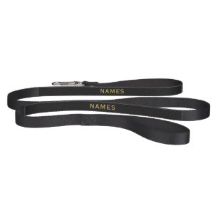 Personalized With Last Name or Nickname on Them Pet Leash