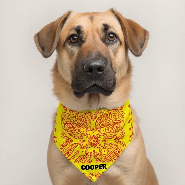 Personalized Yellow and Red Paisley  Pet Bandana Collar (Dog 2)