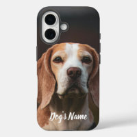 Personalized your Beagle Dog Photo & Name