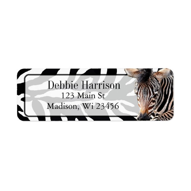 Personalized Zebra Stripes Return Address Labels (Front)