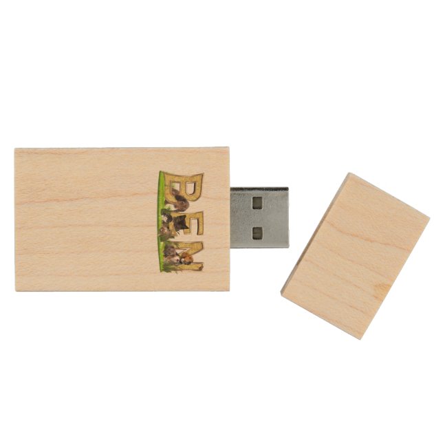 Personilize Names Wood Flash Drive (Opened)