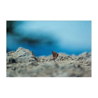 Perspective Acrylic Print