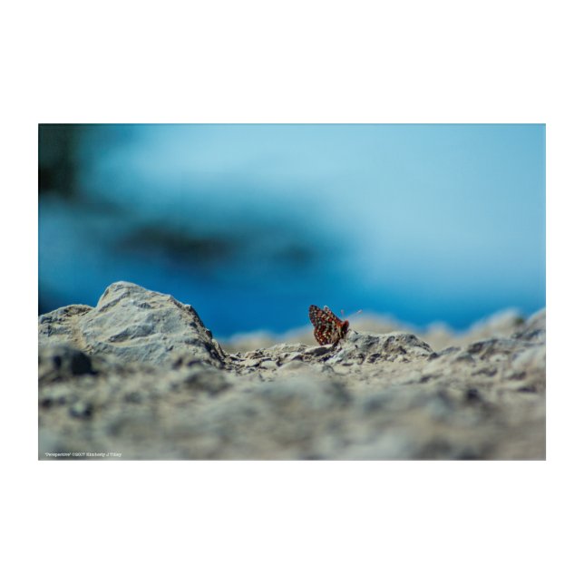 Perspective Acrylic Print (Front)