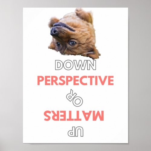 Perspective matters poster