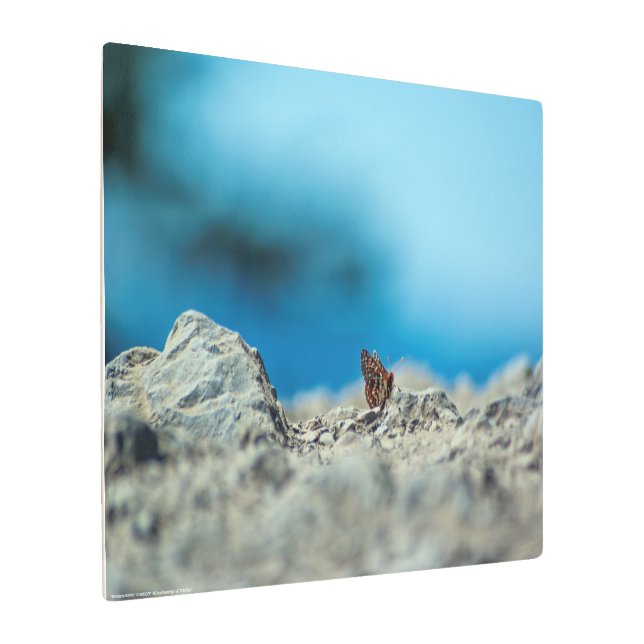 Perspective Metal Print (Angled)