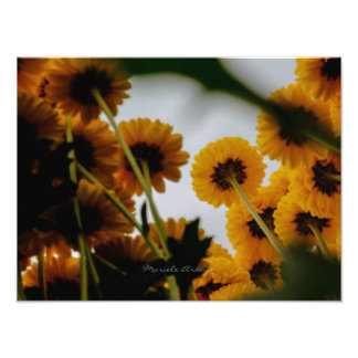 Perspective Photo Print