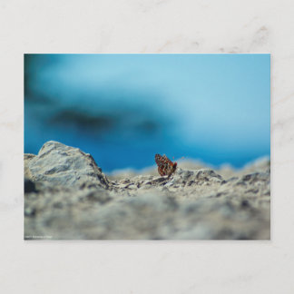 Perspective Postcard