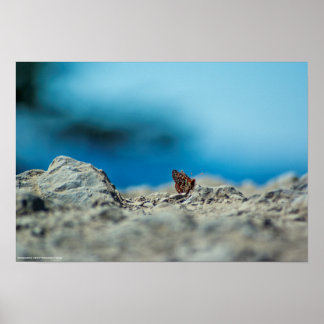 Perspective Poster