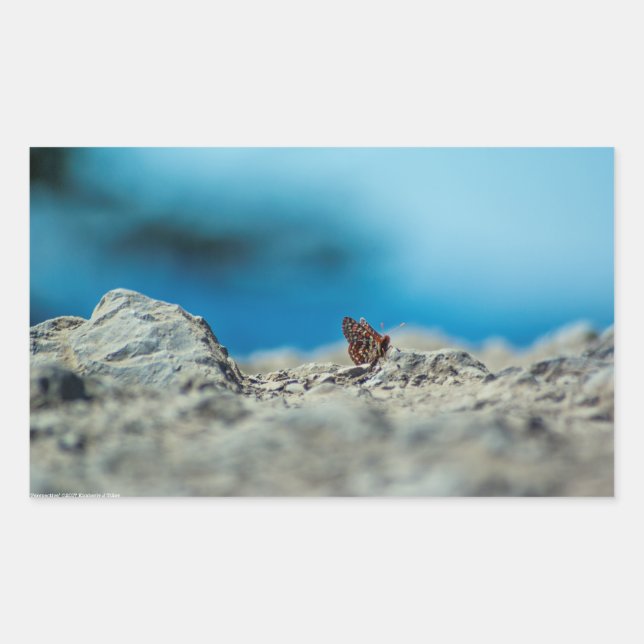 Perspective Rectangular Sticker (Front)
