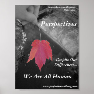 Perspectives Poster