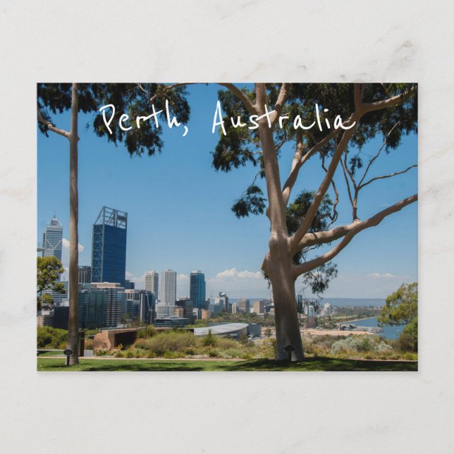 Perth skyline from the gorgeous Kings Park Postcard (Front)
