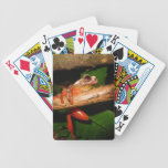peru 137.JPG Bicycle Playing Cards peru 137.JPG Bicycle Playing Cards