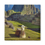 Peru, Andes, Andes Mountains, Machu Picchu, 2 Magnet Peru, Andes, Andes Mountains, Machu Picchu, 2 Magnet