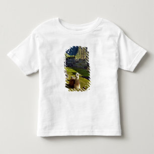 Peru, Andes, Andes Mountains, Machu Picchu Toddler T-shirt