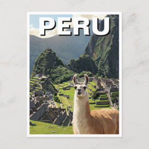 Peru Llama Postcard
