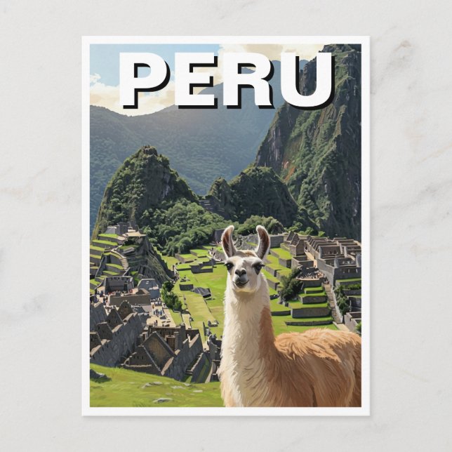 Peru Llama Postcard (Front)