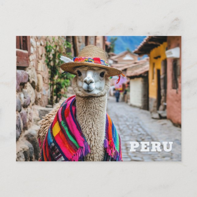 Peru Llama Postcard (Front)