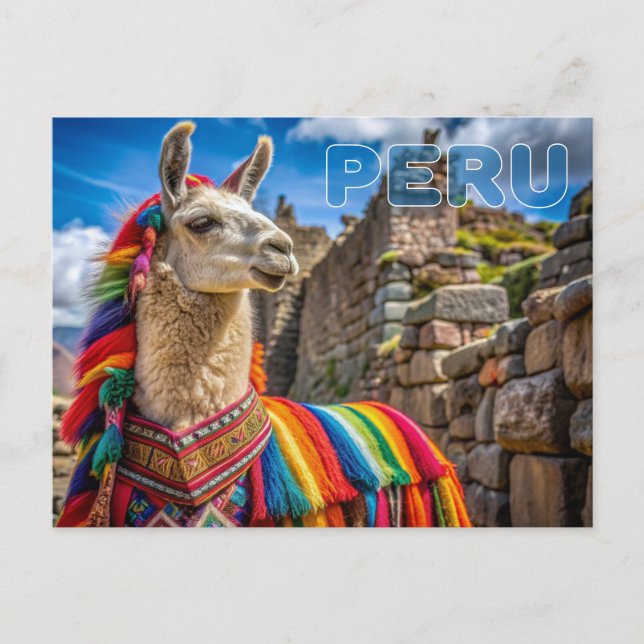 Peru Llama Postcard (Front)