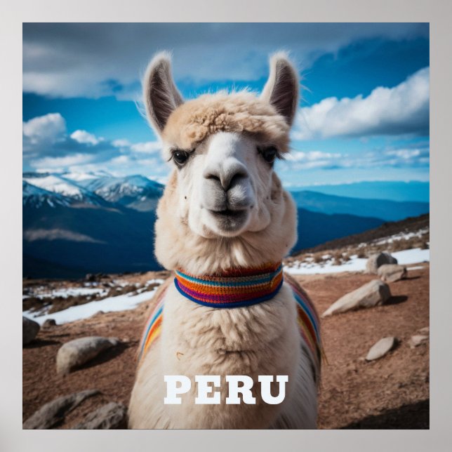 Peru Llama Poster (Front)