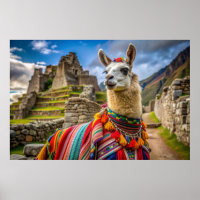 Peru Llama