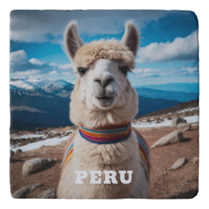 Peru Llama Trivet