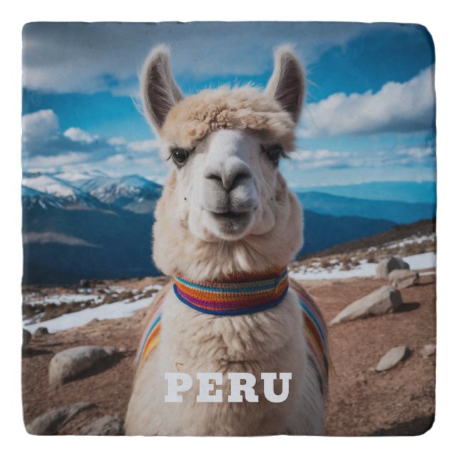 Peru Llama Trivet (Front)