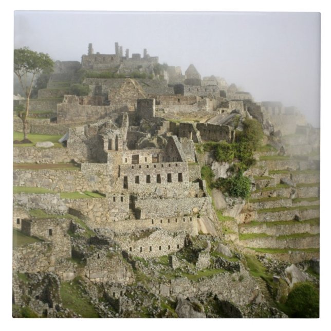 Peru, Machu Picchu. The ancient citadel of Machu Tile (Front)