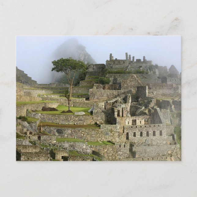 Peru, Machu Picchu. The ancient citadel of Postcard (Front)
