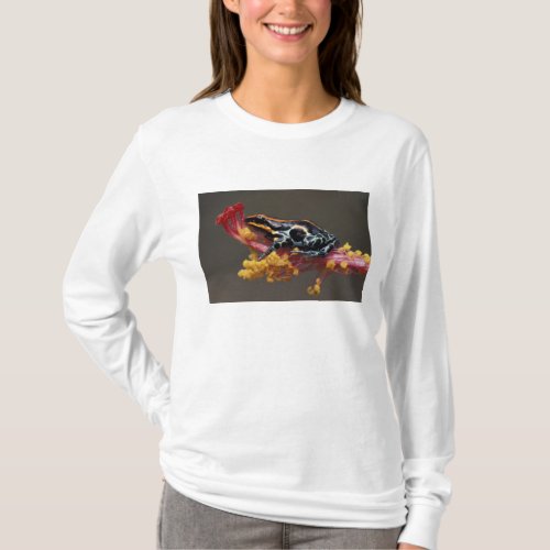 Peru Peruvian Rain Forest Poison Arrow Frog T_Shirt