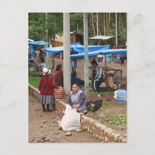 Peru Postcard (Front)
