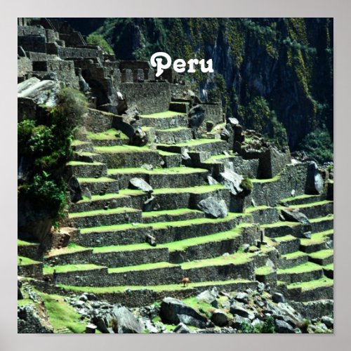 Peru Ruins Poster