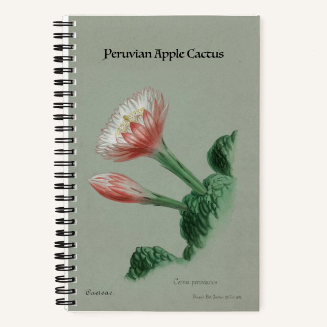 Peruvian Apple Cactus Notebook - Vintage Botanical (Front)