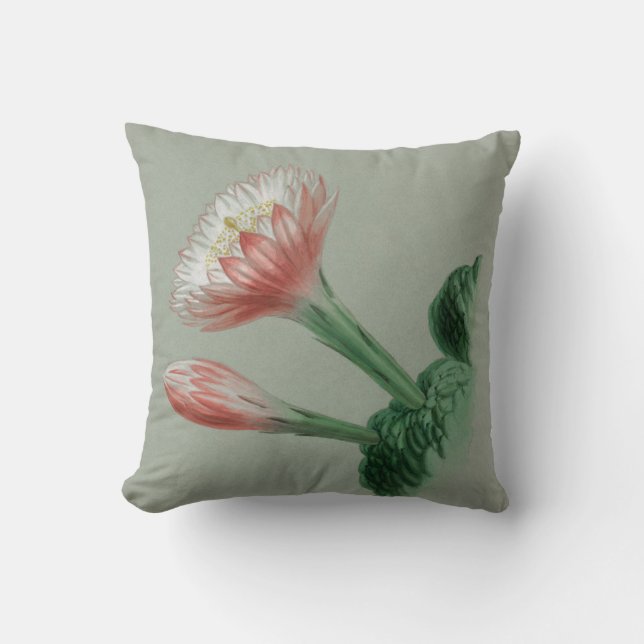 Peruvian Apple  Throw Pillow (Front)