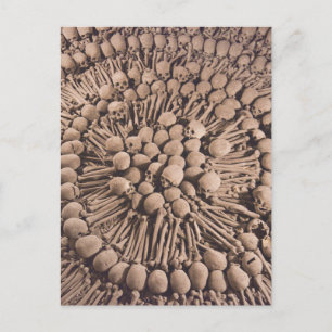 Peruvian Catacombs Macabre Artistry Postcard