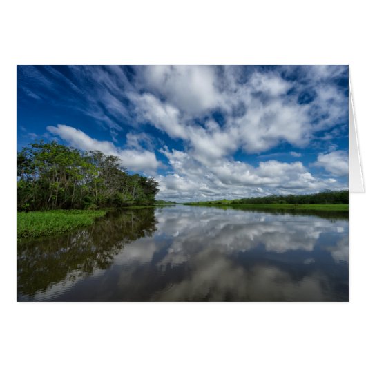 Peruvian Jungle Reflections Cards (Front Horizontal)