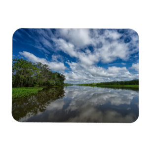 Peruvian Jungle Reflections Magnet